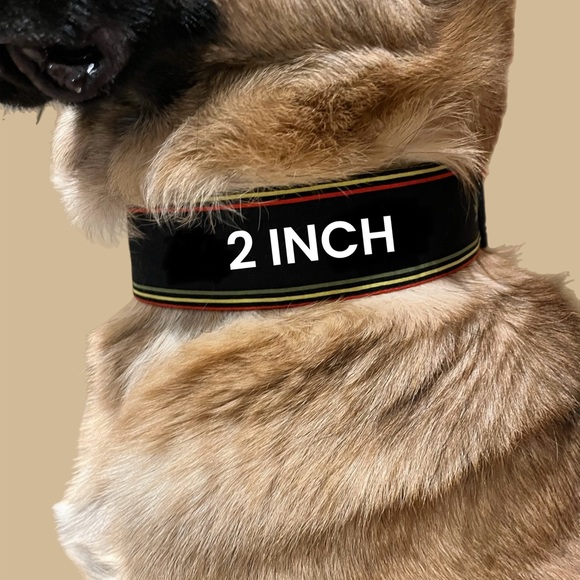 Cannabis Dog Collar - Picture 7 of 8